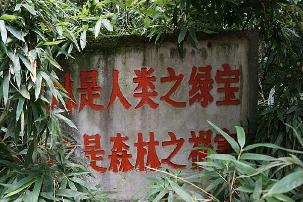 ɭ�ַ�����