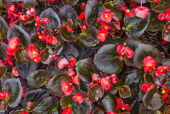 �ļ�����