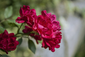 һ�����޵��¼�