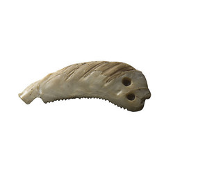 ԭʼ��ᱴ������