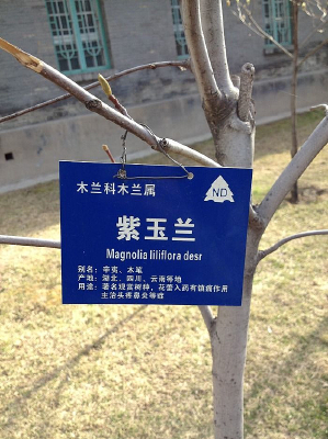 ������֦��