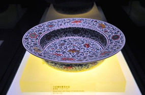 ���ʲ�֦ެ������