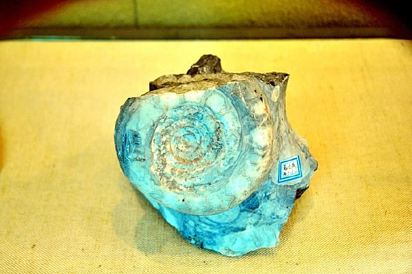 �ջ�ʯ��ǻ�ʯ