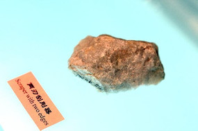 ���й�����