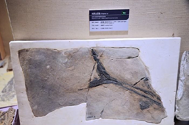 ���ϱ�Ү��