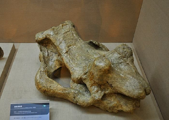 ·�ϵ�����