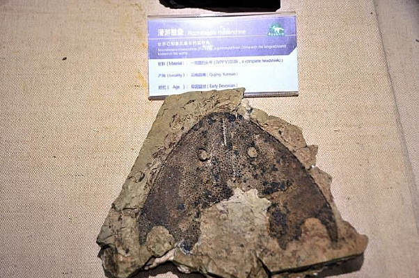 ���κ���