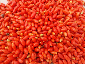 ��ζ�����