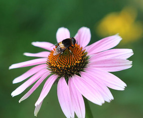 �۷������˾ջ��Ĳ���