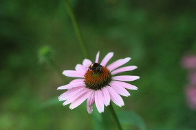 �۷������˾ջ��Ļ��̲���