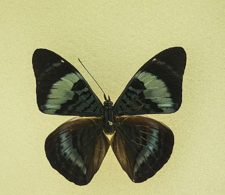 Ů�����̵�