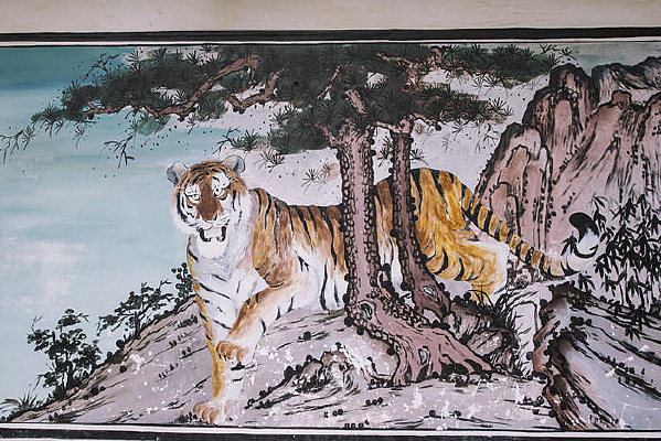 ǽ����ϻ����ɲʻ�