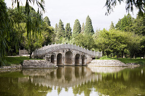 �峺����İ�ɫ����