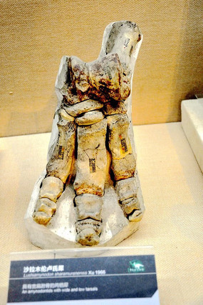 ɳ��ľ��¬��Ϭ