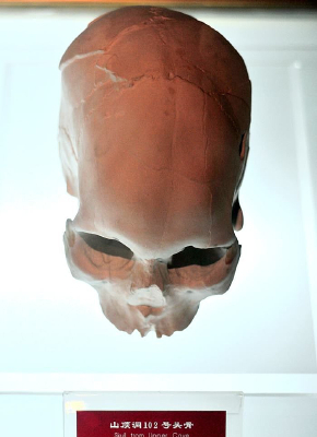 ɽ����102��ͷ��