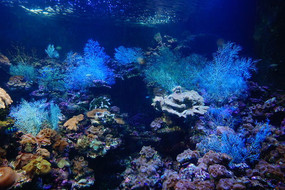 ˮ�������