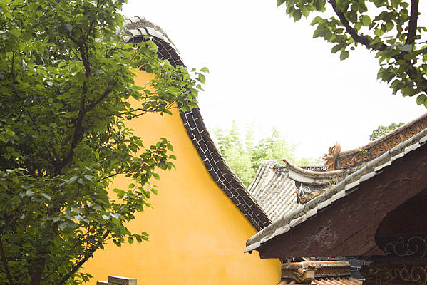 ��ľ���������һ��