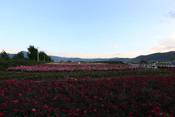 �ʻ�ʢ���ļ���