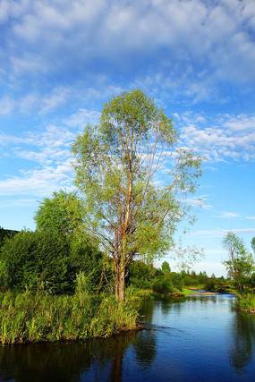 С������