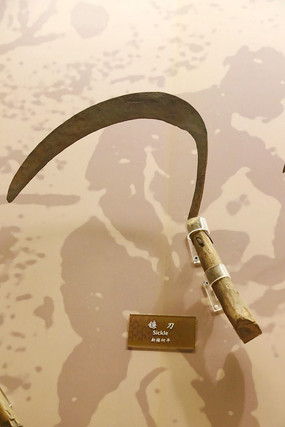 �½�����