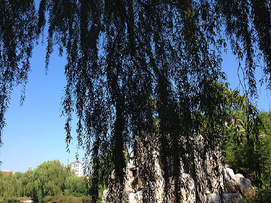 ��������������