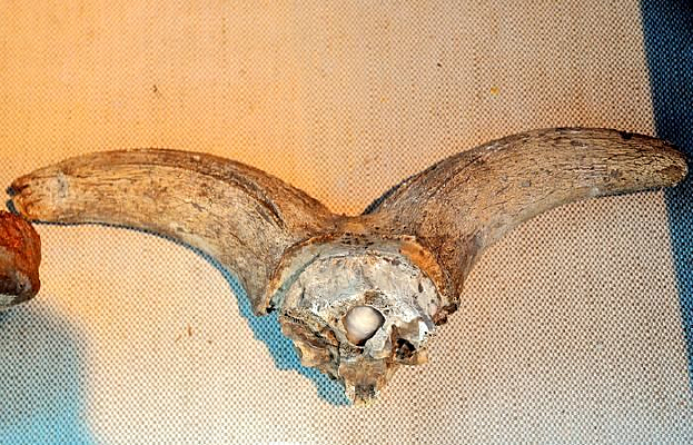 ����δ���֣�