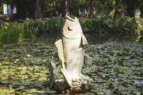 �������������