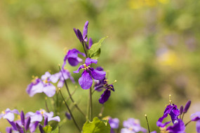 ����������