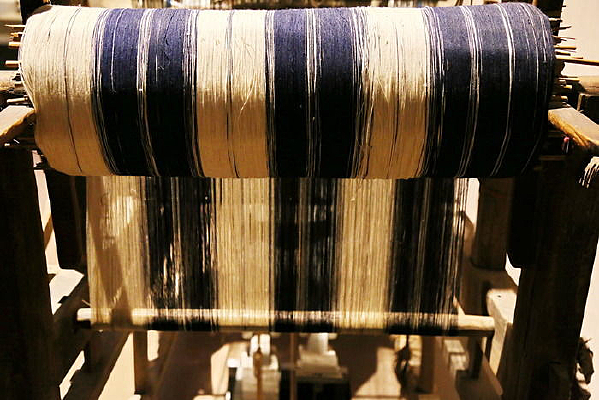 ��֯�������ϵ�ɴ��