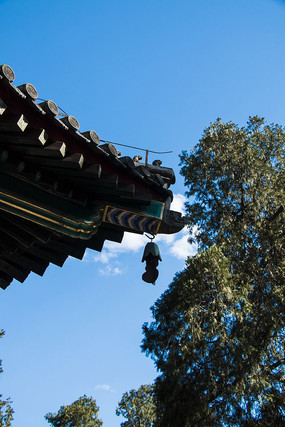 ��԰����