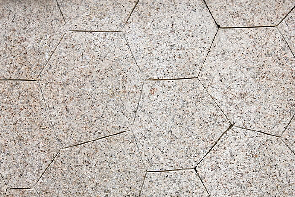 ���Ʊ���