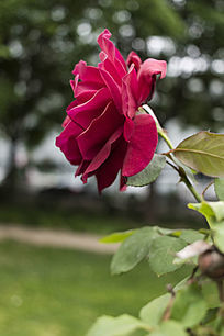 ��ɫ�¼�������