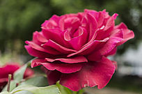 ��ɫ�¼�����д