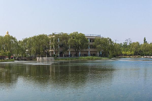 ����¥��