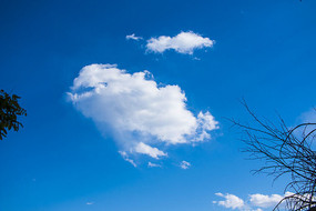 ����״�ƶ�