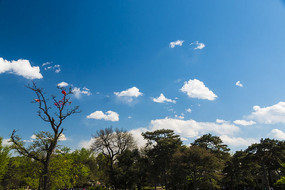 ����֦��