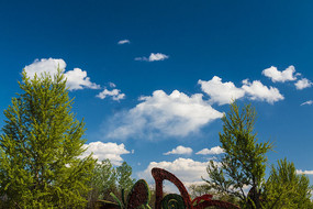 ����֦������