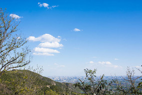 �������ƶ�