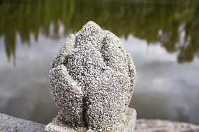 �����ϵ��������