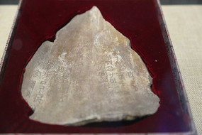 �̴��̴�ţ��