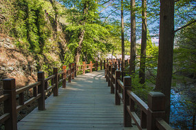 С·������