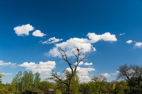 �Ʋ������֦