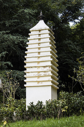 �ݵ��ϵİ�ɫС��