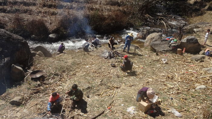 �ӱ�Ұ������Ⱥ