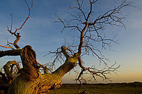 ���ɡ�������ϼ��