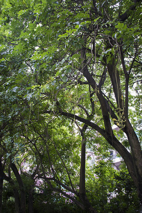 ��ľ�ϴ���Ļ�