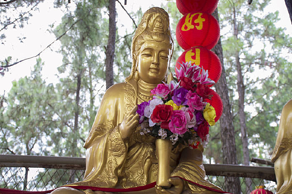 ���ӹ�����