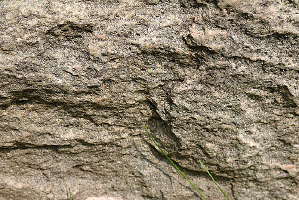 �Ҳ�����