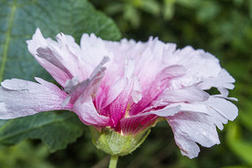 һ�����޵����