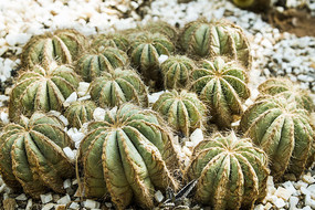 һ��������